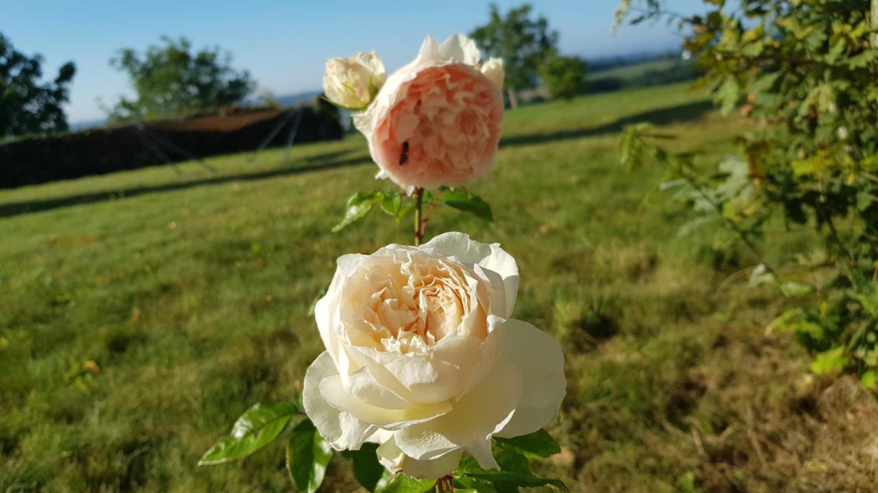 Belle Visnonia Meuble De Caractere Sud Morbihan Béganne المظهر الخارجي الصورة